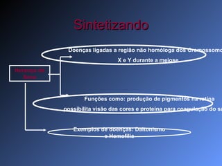 Sintetizando Herança do Sexo Doenças ligadas a região não homóloga dos Cromossomos  X e Y durante a meiose Funções como: produção de pigmentos na retina possibilita visão das cores e proteína para coagulação do sangue Exemplos de doenças: Daltonismo e Hemofilia 