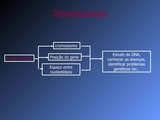 Sintetizando cromossomo Posição do gene Espaço entre nucleotídeos Estudo do DNA, conhecer as doenças, identificar problemas genéticos etc.. Mapa Genético 