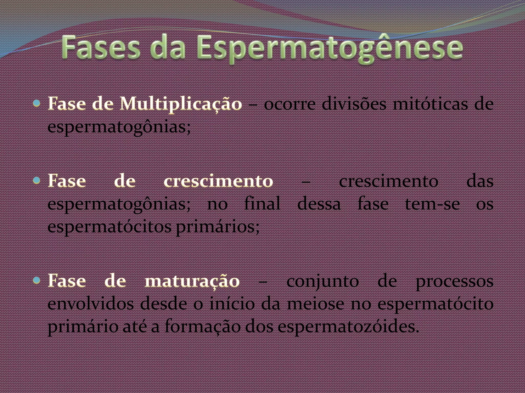 As espermátides sofrem o processo de diferenciação chamado de Espermiogênese, transformando-se em espermatozóides.EspermatogôniasEspermatócitoprimárioEspermatócitosecundárioEspermatózóidesEspermatidesEspermiogênese