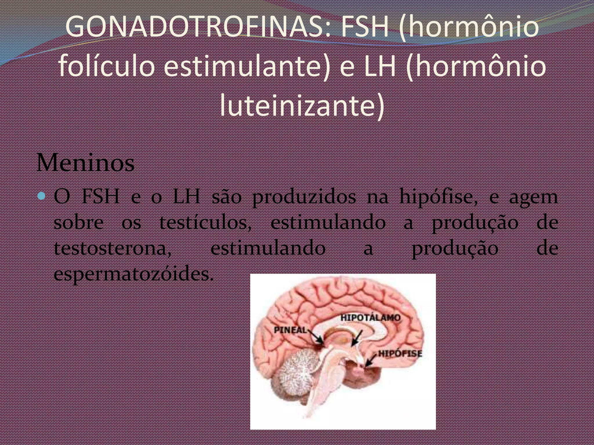 ImagensÓvulo Óvulo  rodeado de espermatozóideEspermatozóide  tentando penetrarZigoto