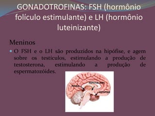 ImagensÓvulo Óvulo  rodeado de espermatozóideEspermatozóide  tentando penetrarZigoto