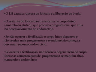 Hormônio Sexual Masculino Testosterona – produzido nos testículos. Responsáveis pelas características sexuais secundárias masculinas. Induz o amadurecimento dos órgãos genitais e promove os impulsos sexuais.Começa a ser produzida na fase embrionária, e é a sua presença no embrião que determina o desenvolvimento dos órgãos genitais.