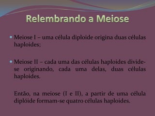 Relembrando a MeioseMeiose I – uma célula diploide origina duas células haploides;Meiose II – cada uma das células haploides divide-se originando, cada uma delas, duas células haploides.	Então, na meiose (I e II), a partir de uma célula diplóide formam-se quatro células haploides.