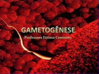 GAMETOGÊNESE Professora Fátima Comiotto 