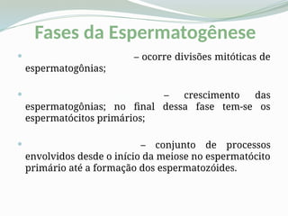 Fases da Espermatogênese
 Fase de Multiplicação – ocorre divisões mitóticas de
espermatogônias;
 Fase de crescimento – crescimento das
espermatogônias; no final dessa fase tem-se os
espermatócitos primários;
 Fase de maturação – conjunto de processos
envolvidos desde o início da meiose no espermatócito
primário até a formação dos espermatozóides.
 
