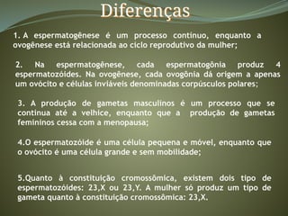 Diferenças
1. A espermatogênese é um processo contínuo, enquanto a
ovogênese está relacionada ao ciclo reprodutivo da mulher;
2. Na espermatogênese, cada espermatogônia produz 4
espermatozóides. Na ovogênese, cada ovogônia dá origem a apenas
um ovócito e células inviáveis denominadas corpúsculos polares;
3. A produção de gametas masculinos é um processo que se
continua até a velhice, enquanto que a produção de gametas
femininos cessa com a menopausa;
4.O espermatozóide é uma célula pequena e móvel, enquanto que
o ovócito é uma célula grande e sem mobilidade;
5.Quanto à constituição cromossômica, existem dois tipo de
espermatozóides: 23,X ou 23,Y. A mulher só produz um tipo de
gameta quanto à constituição cromossômica: 23,X.
 