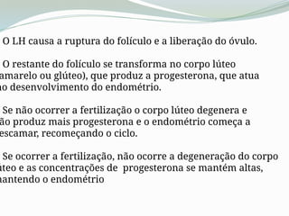 O LH causa a ruptura do folículo e a liberação do óvulo.
O restante do folículo se transforma no corpo lúteo
amarelo ou glúteo), que produz a progesterona, que atua
no desenvolvimento do endométrio.
Se não ocorrer a fertilização o corpo lúteo degenera e
ão produz mais progesterona e o endométrio começa a
escamar, recomeçando o ciclo.
Se ocorrer a fertilização, não ocorre a degeneração do corpo
úteo e as concentrações de progesterona se mantém altas,
mantendo o endométrio
 
