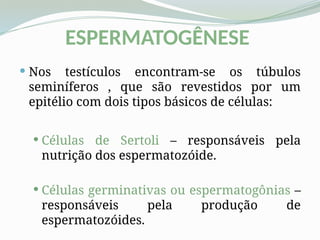 ESPERMATOGÊNESE
 Nos testículos encontram-se os túbulos
seminíferos , que são revestidos por um
epitélio com dois tipos básicos de células:
 Células de Sertoli – responsáveis pela
nutrição dos espermatozóide.
 Células germinativas ou espermatogônias –
responsáveis pela produção de
espermatozóides.
 
