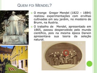 QUEM FOI MENDEL?
 O monge Gregor Mendel (1822 – 1884)
realizou experimentações com ervilhas
cultivadas em seu jardim, no mosteiro de
Brunn, na Áustria.
 O trabalho de Mendel, apresentado em
1865, passou despercebido pelo mundo
científico, pois na mesma época Darwin
apresentava sua teoria da seleção
natural.
 