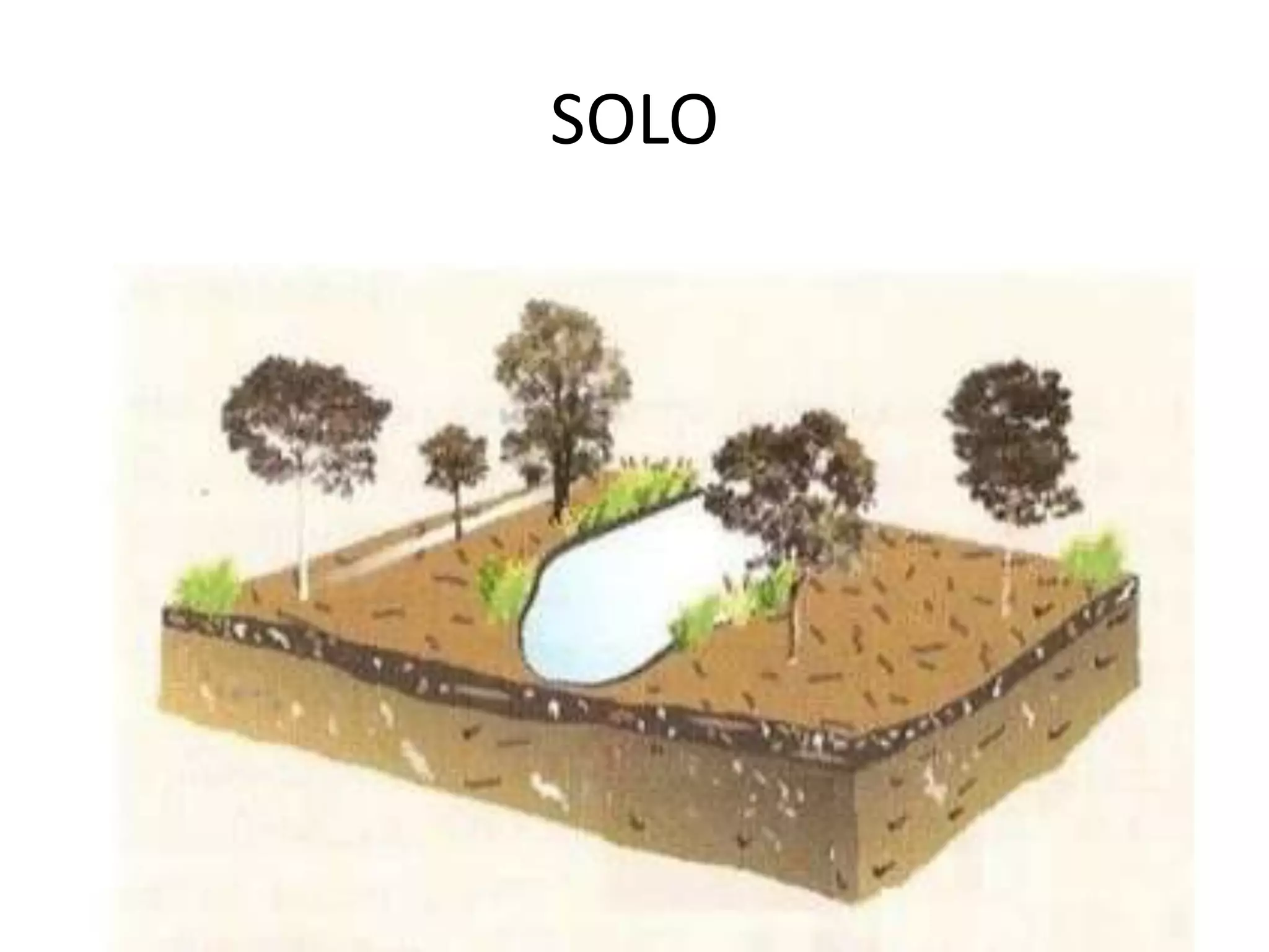 SOLO
