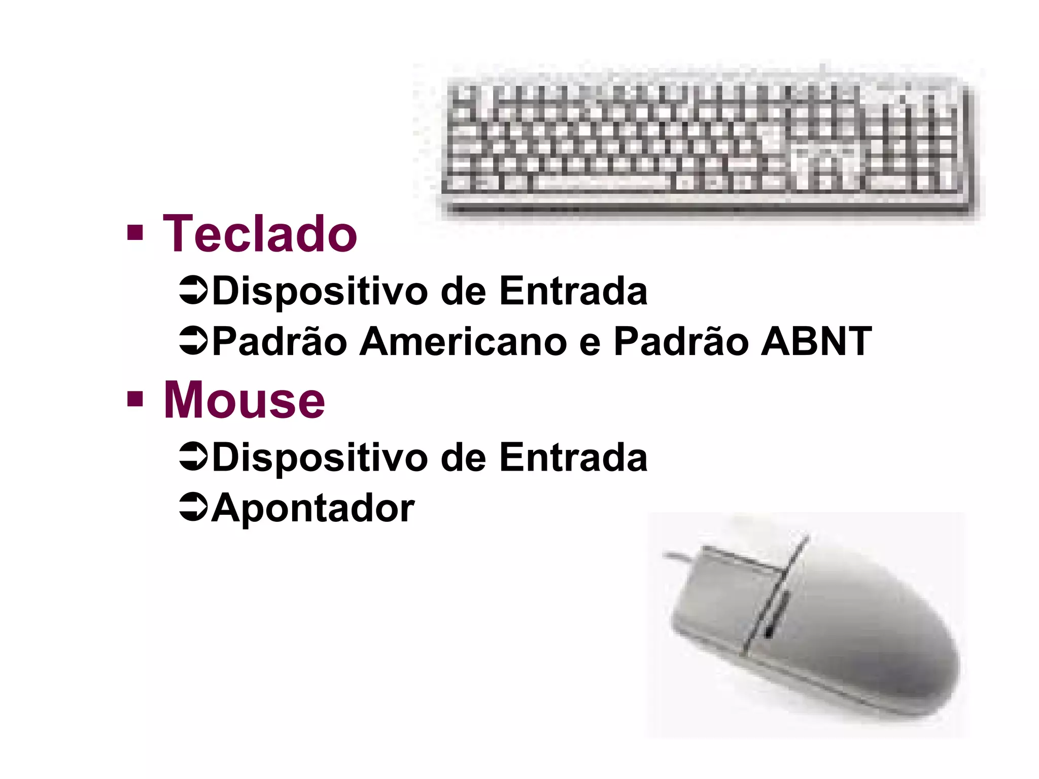 Teclado Dispositivo de Entrada Padrão Americano e Padrão ABNT Mouse Dispositivo de Entrada Apontador 
