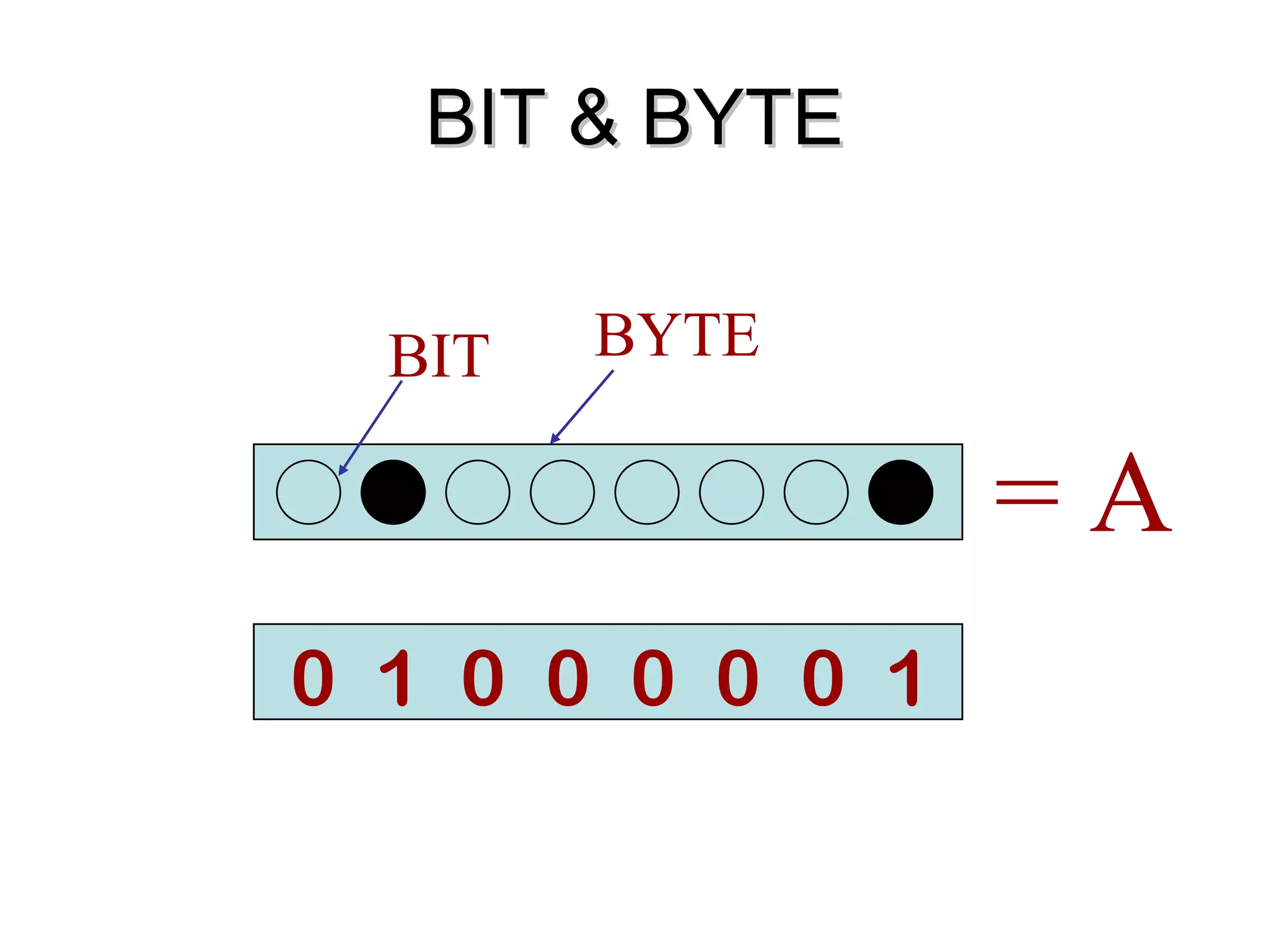 BIT & BYTE = A   BIT BYTE 0  1  0  0  0  0  0  1 