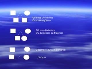 Gêmeos univitelinos
Ou monozigóticos



   Gêmeos bivitelinos
   Ou dizigóticos ou fraternos




   Casamento Extramatrimonial


    Divórcio
 