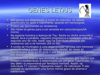 GENES LETAIS
 São genes que determinam a morte do indivíduo no estado
  embrionário ou após o nascimento, quando em homozigose.
 Podem ser dominantes ou recessivos.
 São letais os genes para a cor amarela em camundongos(AA
  morre).
 Na espécie humana a doença de Tay- Sachs ou idiotia amaurótica
  infantil, leva a paralisia, cegueira progressiva e morte por volta do
  segundo ano de vida, neste caso os indivíduos afetados são
  recessivos (ss) e os normais (SS ou Ss).
 A coréia de Huntington é uma degeneração nervosa com tremores
  generalizados e sinais de deterioração mental, às vezes só
  manifestados após os 30 anos o que leva à transmissão dos genes
  aos descendentes.
 A Talassemia, anemia que acomete as populações das regiões que
  limitam o mediterrâneo é determinada por um gene T(dominate), o
  seu alelo t é responsável por fenótipos normais. Assim, os
  indivíduos TT morrem (Talassemia major). Os indivíduos Tt são
  normais ou apresentam uma forma menos grave de anemia e
  sobrevivem.
 