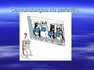 Camundongos no paredão...
 