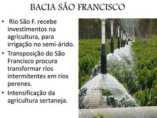 BACIA SÃO FRANCISCO
• Rio São F. recebe
investimentos na
agricultura, para
irrigação no semi-árido.
• Transposição do São
Francisco procura
transformar rios
intermitentes em rios
perenes.
• Intensificação da
agricultura sertaneja.
 