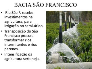 BACIA SÃO FRANCISCO Rio São F. recebe investimentos na agricultura, para irrigação no semi-árido.Transposição do São Francisco procura transformar rios intermitentes e rios perenes.Intensificação da agricultura sertaneja.