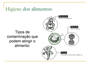 Higiene dos alimentos:
Tipos de
contaminação que
podem atingir o
alimento:
 