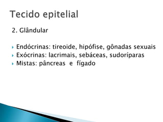 2. Glândular

   Endócrinas: tireoide, hipófise, gônadas sexuais
   Exócrinas: lacrimais, sebáceas, sudoríparas
   Mistas: pâncreas e fígado
 