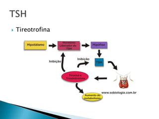    Tireotrofina
 