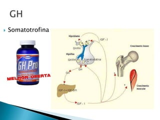    Somatotrofina
 