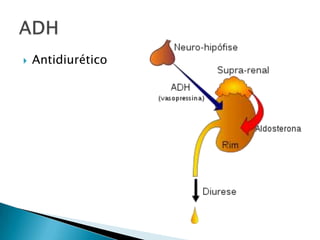   Antidiurético
 
