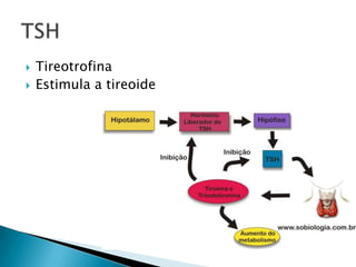    Tireotrofina
   Estimula a tireoide
 