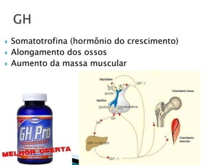    Somatotrofina (hormônio do crescimento)
   Alongamento dos ossos
   Aumento da massa muscular
 