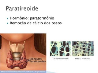    Hormônio: paratormônio
   Remoção de cálcio dos ossos
 