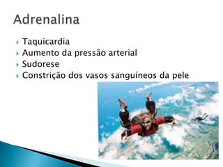    Taquicardia
   Aumento da pressão arterial
   Sudorese
   Constrição dos vasos sanguíneos da pele
 