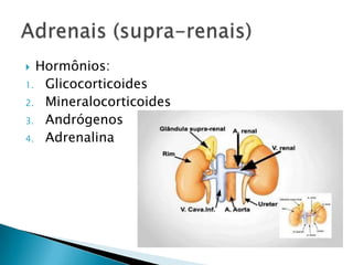  Hormônios:
1. Glicocorticoides
2. Mineralocorticoides
3. Andrógenos
4. Adrenalina
 