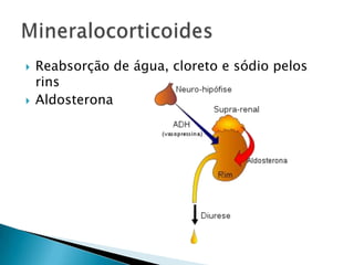    Reabsorção de água, cloreto e sódio pelos
    rins
   Aldosterona
 
