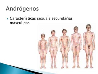    Características sexuais secundárias
    masculinas
 