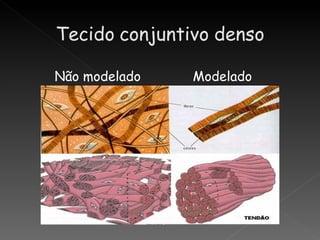 Não modelado   Modelado
 