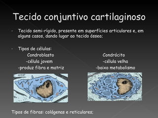 -   Tecido semi-rígido, presente em superfícies articulares e, em
    alguns casos, dando lugar ao tecido ósseo;

-   Tipos de células:
         Condroblasto                          Condrócito
        -célula jovem                          -célula velha
    -produz fibra e matriz                  -baixo metabolismo




Tipos de fibras: colágenas e reticulares;
 