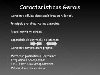 -   Apresenta células alongadas(fibras ou miócitos);

-   Principais proteínas: Actina e miosina;

-   Possui matriz moderada;

-   Capacidade de contração e distensão;

-   Apresenta nomenclatura própria:

-   Membrana plasmática = Sarcolema;
-   Citoplasma = Sarcoplasma;
-   R.E.L. = Retículo Sarcoplasmático;
-   Mitocôndria = Sarcossomo;
 