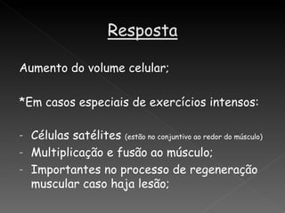 Aumento do volume celular;

*Em casos especiais de exercícios intensos:

- Células satélites (estão no conjuntivo ao redor do músculo)
- Multiplicação e fusão ao músculo;
- Importantes no processo de regeneração
  muscular caso haja lesão;
 
