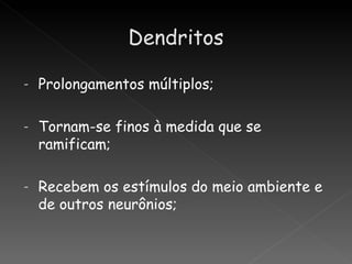 -   Prolongamentos múltiplos;

-   Tornam-se finos à medida que se
    ramificam;

-   Recebem os estímulos do meio ambiente e
    de outros neurônios;
 