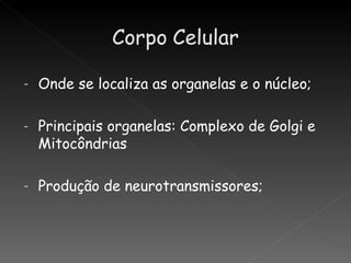 -   Onde se localiza as organelas e o núcleo;

-   Principais organelas: Complexo de Golgi e
    Mitocôndrias

-   Produção de neurotransmissores;
 