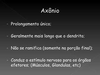 -   Prolongamento único;

-   Geralmente mais longo que o dendrito;

-   Não se ramifica (somente na porção final);

-   Conduz o estímulo nervoso para os órgãos
    efetores; (Músculos, Glandulas, etc)
 