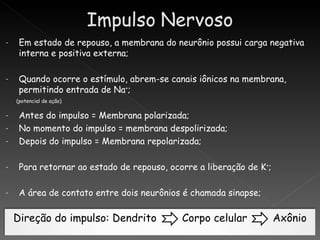 -    Em estado de repouso, a membrana do neurônio possui carga negativa
     interna e positiva externa;

-    Quando ocorre o estímulo, abrem-se canais iônicos na membrana,
     permitindo entrada de Na+;
    (potencial de ação)

-    Antes do impulso = Membrana polarizada;
-    No momento do impulso = membrana despolirizada;
-    Depois do impulso = Membrana repolarizada;

-    Para retornar ao estado de repouso, ocorre a liberação de K+;

-    A área de contato entre dois neurônios é chamada sinapse;

    Direção do impulso: Dendrito            Corpo celular            Axônio
 