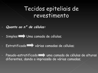 -   Quanto ao n° de células:

-   Simples         Uma camada de células;

-   Estratificado        várias camadas de células;

-   Pseudo-estratificado      uma camada de células de alturas
    diferentes, dando a impressão de várias camadas;
 