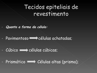 -   Quanto a forma da célula:


-   Pavimentoso        células achatadas;

-   Cúbico        células cúbicas;

-   Prismático         Células altas (prisma);
 