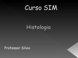 Professor Silvio
 