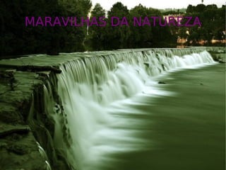 MARAVILHAS DA NATUREZA 
