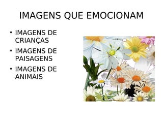 IMAGENS QUE EMOCIONAM IMAGENS DE  CRIANÇAS IMAGENS DE PAISAGENS IMAGENS DE ANIMAIS  