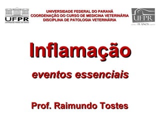Inflamação eventos essenciais UNIVERSIDADE FEDERAL DO PARANÁ COORDENAÇÃO DO CURSO DE MEDICINA VETERINÁRIA DISCIPLINA DE PA...