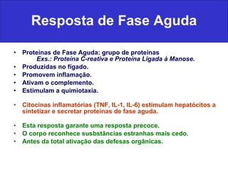 <ul><li>Proteínas de Fase Aguda: grupo de proteínas Exs.: Proteína C-reativa e Proteína Ligada à Manose. </li></ul><ul><li...