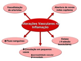 Alterações Vasculares na Inflamação Vasodilatação de arteríolas Abertura de novas redes capilares  Fluxo sanguíneo  Circulação em pequenos vasos  permeabilidade vascular  viscosidade Estase (  adesão leucócitária)  