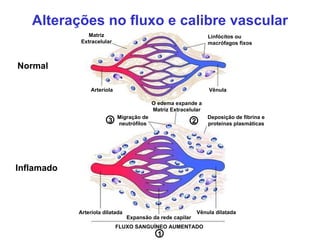 Alterações no fluxo e calibre vascular Normal Inflamado Matriz Extracelular Arteríola Linfócitos ou macrófagos fixos Vênul...